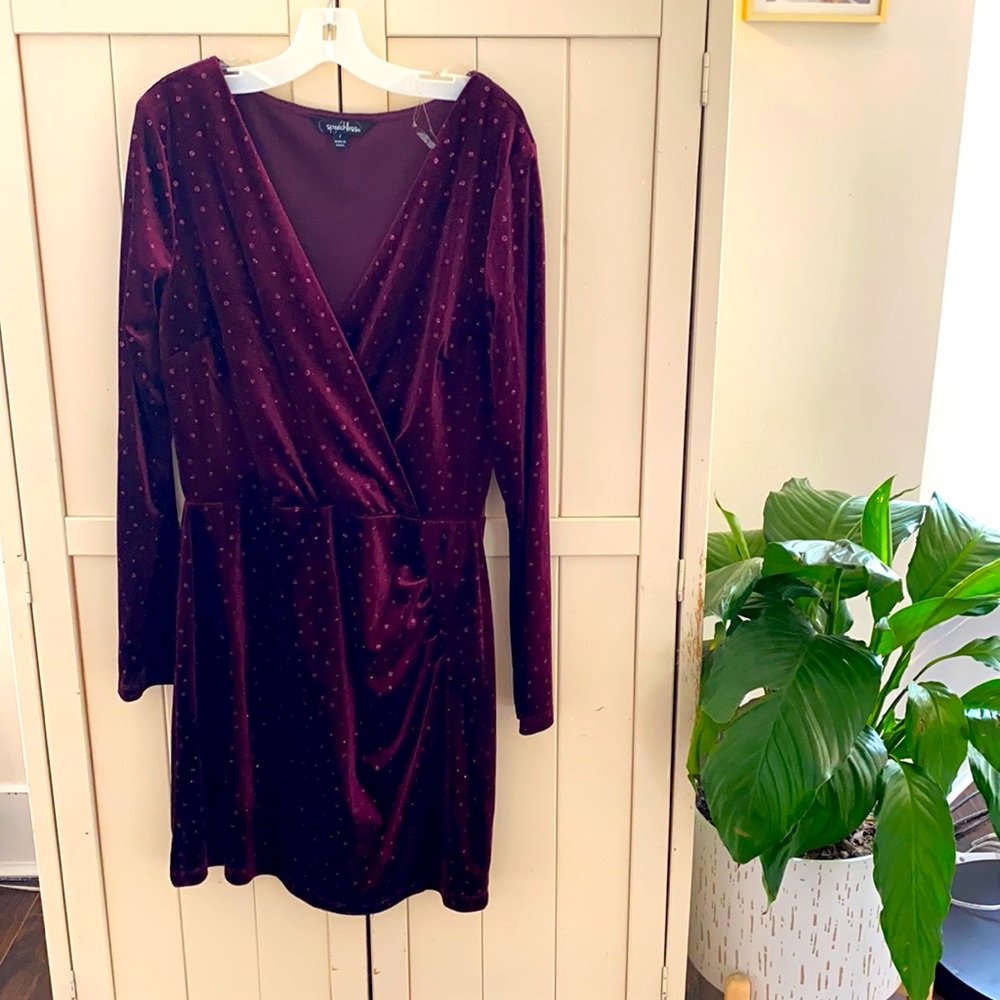 Burgundy, Long sleeve, Speechless Mini dress.